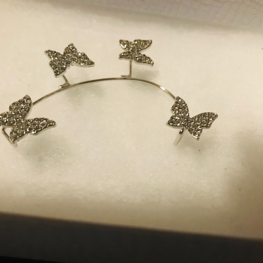 Ear jewelry